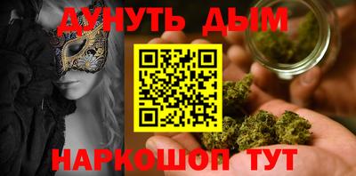 сатива Новодвинск