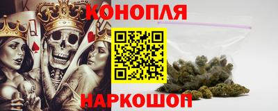 сатива Новодвинск