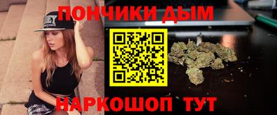 сатива Новодвинск