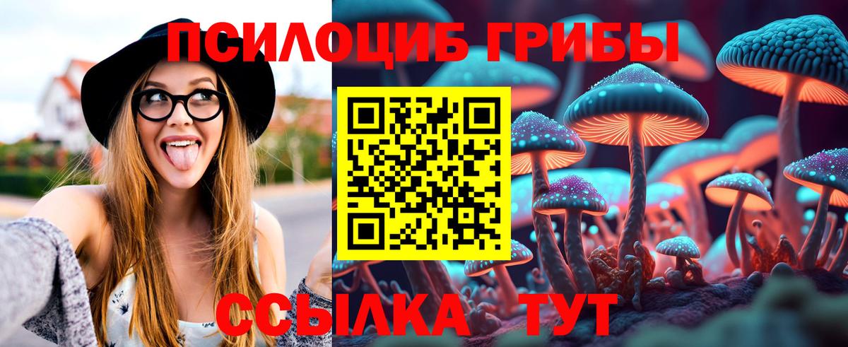 Топки  Галлюциногенные грибы MAGIC MUSHROOMS  Вход с VPN  Псилоцибиновые грибы Psilocybe 